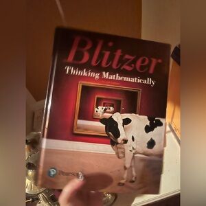 Pearson Blitzer Mathematical Concepts Book - Red and White
